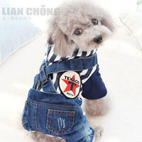 Qingcang Джинсовые брюки для ремня собаки четыре -юбки зимняя одежда сгущенная плюшевая одежда Vips Biebell маленькая собачья прилив