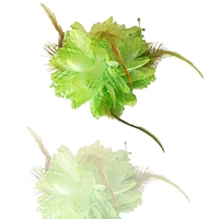 Фруктовый зеленый