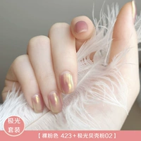 Голый розовый-423 + порошок Aurora Shell 02