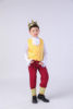 Male yellow+inch clothing+collar flower+crown