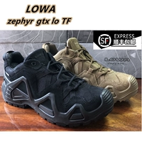 Lowa Zephyr Gtx Tf Lo Low Men's Men's Mudifunctional Outdoor Waterpronation Hydential Atteeering Shoes 310589
