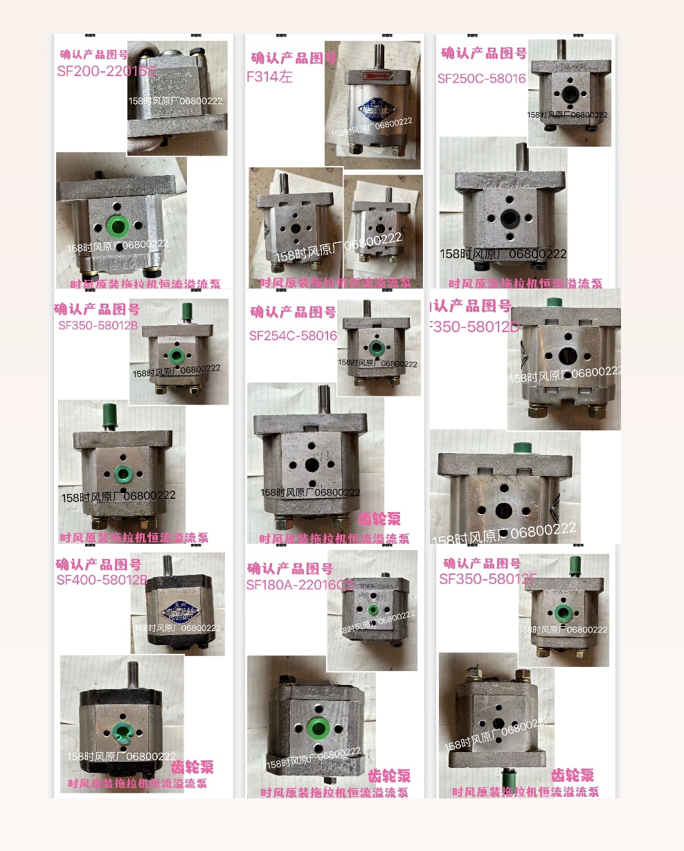 bơm thủy lực bánh răng Máy bơm bánh răng thủy lực nâng hạ xi-lanh đơn nhiều xi-lanh lớn, vừa và nhỏ Shifeng Máy bơm bánh răng thủy lực chính hãng Shifeng cách đọc thông số bơm thủy lực bơm thủy lực bãi
