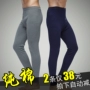 Quần cotton nam Qiukuk Quần legging mỏng thanh lịch Quần cotton trẻ trung Quần ấm quần legging cho bé gái