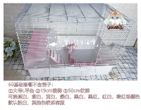 Абрикосовый цвет 60 порошкообразной белой однослойной упаковки