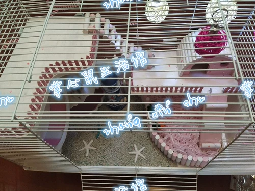 Молот золотой шелк платформ Lodi Prescl Board Platform Diy Dyed Trancboard Plactming Platform небольшая лестница домашних животных