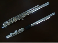 Золотая залог флейта инструмент младший экзамен 16 -отверстие -отверстие -отверстие e Ключ C