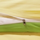Bông mẫu giáo quilt ba mảnh thiết lập với lõi rắn màu thêu logo trẻ em nap bìa là cotton bé giường mùa đông 	ga giường màu hồng cho bé gái	 Bộ đồ giường trẻ em