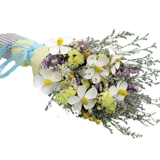Net Red Flower Beam Ins, забудьте меня