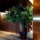 Nhà hoa Mô phỏng Hạnh phúc Cây hội trường Cây trang trí Trong nhà Cảnh quan xanh thực sự Thân cây Phong cách Đạo cụ Làm cho Bán nóng - Hoa nhân tạo / Cây / Trái cây