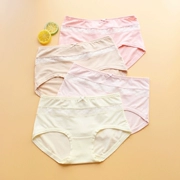 6 bài viết Đồ lót Ying Khang cotton + vải modal tươi quần sinh viên quần giữa eo cô gái