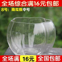 Bình thủy tinh thủy canh chậu hoa thủy tinh - Vase / Bồn hoa & Kệ bình gốm cắm hoa đào