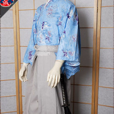 Форма для Кендо 天之武包邮 浅蓝云龙 武士居合服上衣日本进口面料