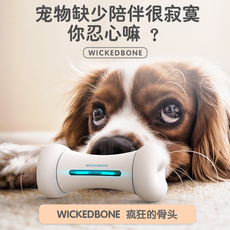 Смарт-оборудование для мониторинга за питомцами cheerble宠物智能玩具