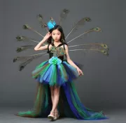 Cô gái đuôi váy Trung Quốc phong cách peacock hiệu suất quần áo công chúa công chúa chủ đề mở màn hình hiển thị trang phục buổi tối - Váy trẻ em