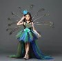 Cô gái đuôi váy Trung Quốc phong cách peacock hiệu suất quần áo công chúa công chúa chủ đề mở màn hình hiển thị trang phục buổi tối - Váy trẻ em đồ vest cho bé trai sơ sinh
