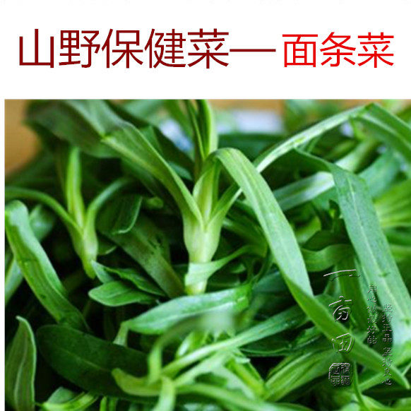 Лапша овощ семена Запах богатые питание Вкусные блюда из супа на пару овощи дикие овощи семена балкон комнатные