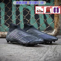 Bóng đá Tianlang Adidas Falcon PREDATOR 19+ FG Giày bóng đá nam cao cấp Real Grass F35612 - Giày bóng đá giày thể thao nam chính hãng