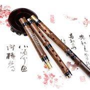 Xiao Nanyin nhạc cụ dân tộc chuyên nghiệp chơi Zizhudong 八 tám lỗ Zizhu chuyên nghiệp tốt thổi phụ kiện chuyên nghiệp - Nhạc cụ dân tộc