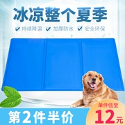 Pet mat mùa hè thú cưng băng pad chó mèo mat làm mát kennel pad mát pad cắn mèo và chó cần thiết hàng ngày - Cat / Dog hàng ngày Neccessities