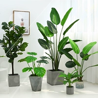 Скандинавское украшение, креативная лампа для растений в помещении для гостиной, скандинавский стиль, популярно в интернете
