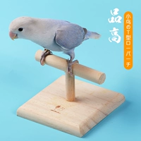Япония Sanko High -Solid Wood T -Capera Small Tiger Peony Black Peony Black Phoenix Parrot Station Station Station Rest Station
