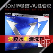 XIOM kiêu ngạo VEGA Weijia Trung Quốc Blue V Platinum V79-024 tem bóng bàn cao su phiên bản châu Á