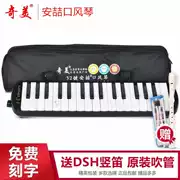 Chi Mei Học sinh 32 phím 37 phím dành cho trẻ em mới bắt đầu học nhạc cụ piano giai điệu gửi ống thổi 32 phím màu đen - Nhạc cụ phương Tây