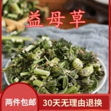 Китайская травяная медицина Motherwort kuncao 茺 子 子 子 子 子 子 子 子 子 子 子 子 子 子 子 500 граммов бесплатной доставки