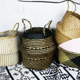 Поэзия и природа | Северная рука Tisa Blue Clothing Baseball Basic Plant Plant Basin