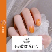 Sơn móng tay tháng 7 năm 2019 màu sơn móng tay màu cam phổ biến Màu cam lưới màu đỏ móng tay sơn móng tay gelatin gói cổ tích - Sơn móng tay / Móng tay và móng chân