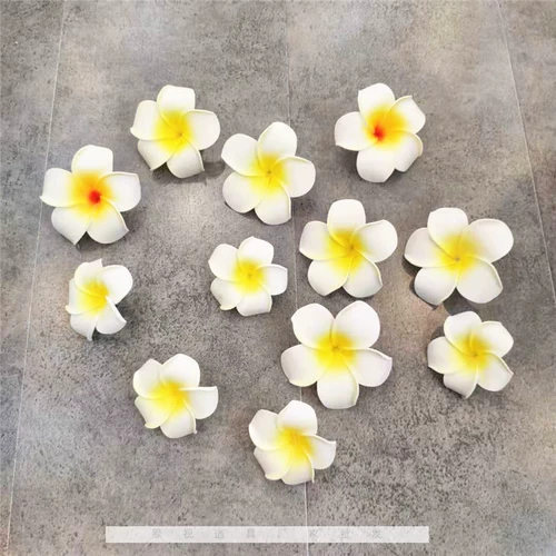 Plumeria очки магазин прилавок украшения реквизит очки витрина реквизит фотосъемка фон реквизит