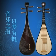 Bắc Kinh Xinghai instrument nhạc cụ Âm nhạc của biển cứng xương hoa Arnold Guyi Sumu trục 琵琶 8911Y - Nhạc cụ dân tộc