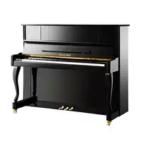 Bưu chính tiền gửi đàn piano của Graf - dương cầm đàn piano rẻ nhất