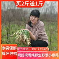 (Купите 2 фунта и получите 1 котливые) Свежий дикий маленький корневой чеснок