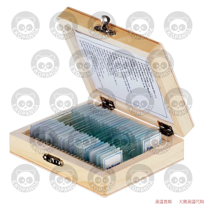 [PS25 Prepared Microscope Slide Set 鏄惧井闀滆浇鐗╃墖 鐢熺墿绉戝]