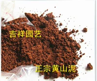 Huangshan грязь красная грязь натуральная погода ископаемая почва орхидея кукушка чай бонсай бонсай кислый местный