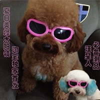 Ван Син многолюдные домашние очки для собак солнцезащитные очки солнцезащитные очки