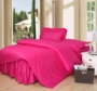 Rose mảnh bông giường chăn tấm bìa bông khăn trải giường đúp dầy váy 200cmx220cm - Váy Petti giường váy