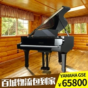 Nhật Bản nhập khẩu Yamaha YAMAHA dành cho người lớn chơi grand piano G5E trọn gói - dương cầm