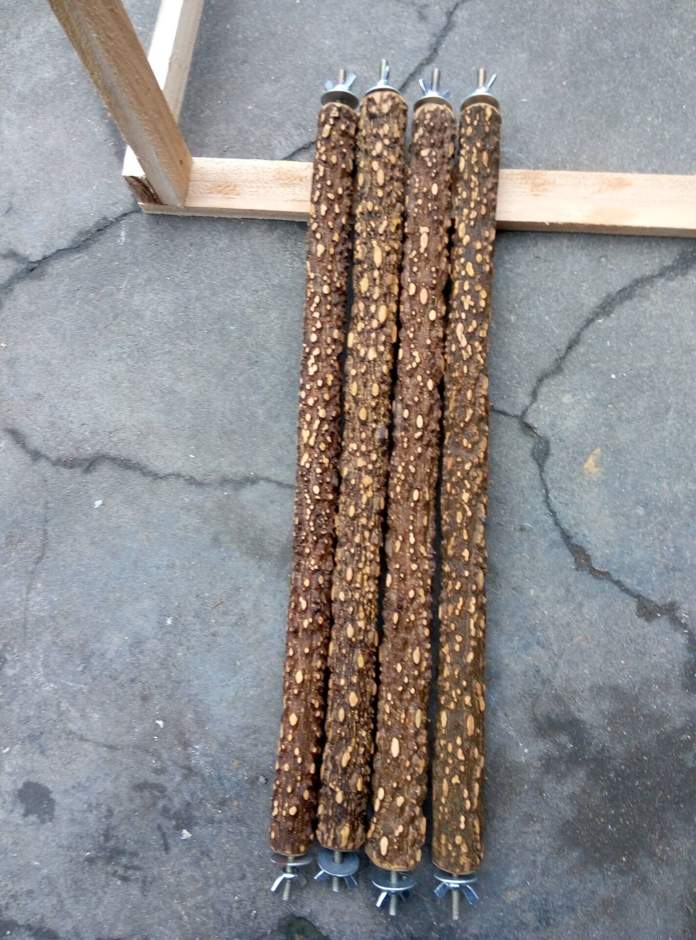 野生花椒木灰机鹦鹉用鸟站站架站杆磨爪杠栖 德阳