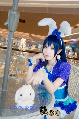 taobao agent [Three Color Jin] Cosplay animal installation love live