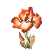 Nổi tiếng cổ thêu nghệ thuật thêu thêu diy kit người mới bắt đầu handmade sơn trang trí với stitch hoa 20 * 20 CM