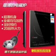 Bếp từ cảm ứng Sunpentown Shangpengtang YS-IC2032SE (G) Home Smart Ultra-thin Stir-Fry Full From - Bếp cảm ứng