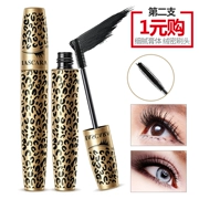 Boquan Ya dài mascara dày tự nhiên uốn cong không thấm nước kéo dài không dễ làm nhòe mắt người mới bắt đầu trang điểm - Kem Mascara / Revitalash