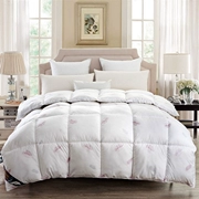 Duvet 95 trắng ngỗng xuống mùa đông là dày chăn ấm năm sao khách sạn là lõi giường đôi nguồn cung cấp khuyến mãi
