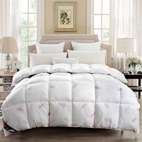 Duvet 95 trắng ngỗng xuống mùa đông là dày chăn ấm năm sao khách sạn là lõi giường đôi nguồn cung cấp khuyến mãi chăn phao bông