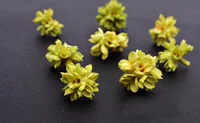 Freezelove Импортированная японская земля Eternal Flower Butterfly Flower/Flower/Dished Flower/поддержка/DIY