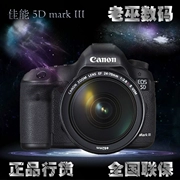 Canon Canon 5D Mark iii 24-105 5D3 5D4 5DIV độc lập chuyên nghiệp được cấp phép - SLR kỹ thuật số chuyên nghiệp