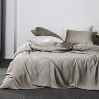 Nhập khẩu Bắc Âu màu rắn 80 Tencel Tencel bốn mảnh băng lụa khỏa thân giường khăn trải giường 1.8 m sản phẩm giường chăn ga gối đệm màu hồng