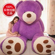 Lớp vải đồ chơi nhung đồ chơi gấu bông cô gái ôm gấu 1.6 m 1.8 rag búp bê gấu trúc búp bê sang trọng o